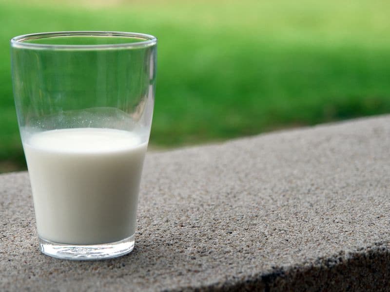 Dairy